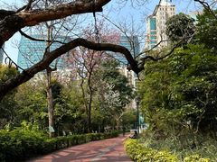 -九龙公园