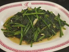 -中国城银都鱼翅酒楼