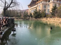 -芭东小镇温泉
