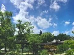 -荷塘月色湿地公园·向阳花洲