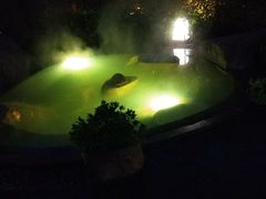 -溧阳天目湖天沐温泉