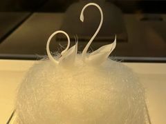 -BLACKSWAN黑天鹅(环球店)