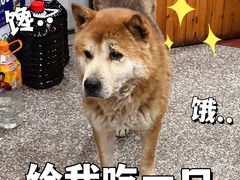 -峡谷农家乐饭店