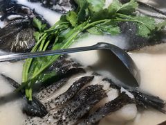 白汤有机鱼头-千岛湖小鱼儿·淳安匠心农家菜