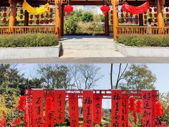 -广西壮族自治区药用植物园