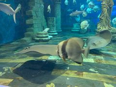 -梦幻海洋王国(吾悦广场张家港店)