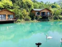 -杭州开元森泊度假乐园