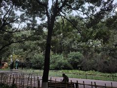 -黔灵山公园