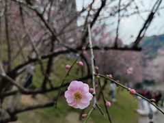 -广州市白云山风景名胜区