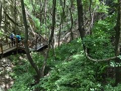 -大岭沟猕猴桃谷风景区