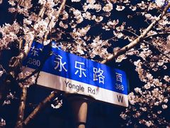 -永乐路-路侧停车场