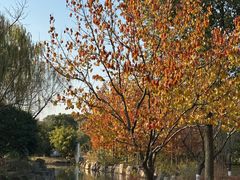 -狼山风景名胜区