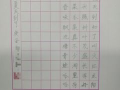 -赵汝飞练字硬笔书法(静安大融城校区)