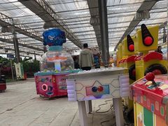 -南和农业嘉年华