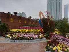 -西北湖绿化广场