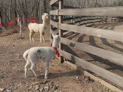-雪山彩虹谷景区