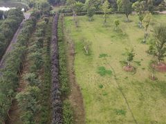 -武汉紫薇都市田园