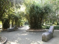 -瀛洲公园