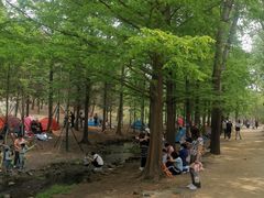 -白水寺森林公园