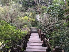 -龙山酒店温泉