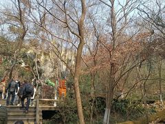 -天目湖山水园