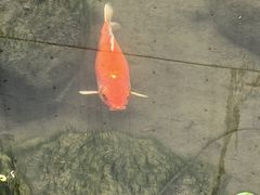 -中国湿地博物馆