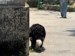 -三山岛