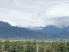 -扁都口生态休闲旅游区