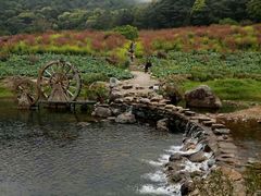 -广州市石门国家森林公园
