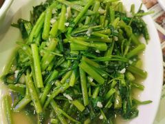 炒空心菜-澳门陈光记烧味饭店(郎家园店)