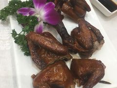乳鸽-鹅城