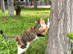 -禹城市禹王亭博物馆