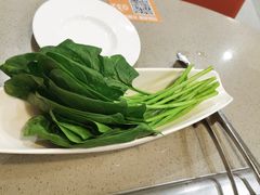 菠菜-海底捞火锅(龙岗星河COCO Park店)