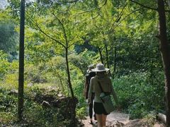 -莫干山风景区