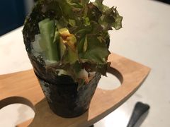 -花见无国界料理(科林楼店)