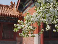 -故宫博物院(故宫)