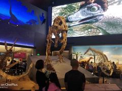 -贝林大翅鲸简餐厅(国家海洋博物馆店)