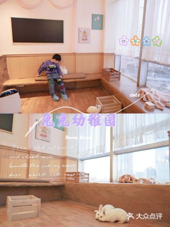 魔都探店|兔兔幼稚园开学啦！