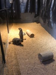 -酷嗒动物文化乐园(cutezoo西溪乐天城店)