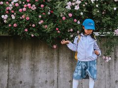 -丹东路渡口(轮渡站)