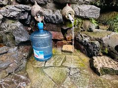 -杭州半山国家森林公园