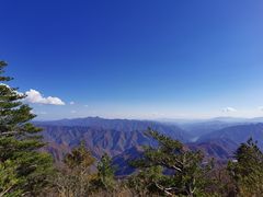 -牛背梁国家森林公园