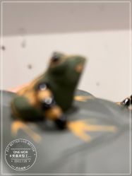 -变画·发型STUDIO