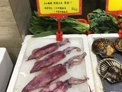 鱿鱼-蚝专家(北滘店)