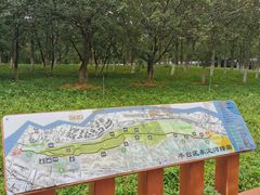 -绿堤公园