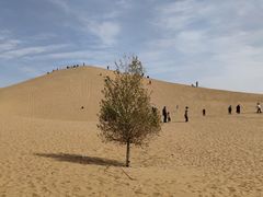 -亿利库布其七星湖沙漠生态旅游区