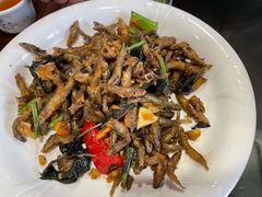 -清水湖度假村(罗浮山美食地标店)