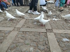 -昆明动物园