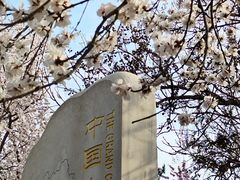 -桃花堤公园