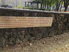 -王借岗森林公园